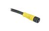 DC Micro Cordset Guardmaster 889D, M12 8pin socket » M12 8pin plug, 1.5A 30VAC/36VDC, -20..80°C, 15m PVC cable, IP65, NEMA4